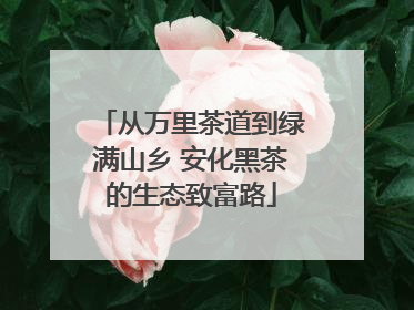 从万里茶道到绿满山乡 安化黑茶的生态致富路