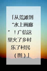 从荒滩到“水上画廊”！广信这里火了乡村 乐了村民（图）