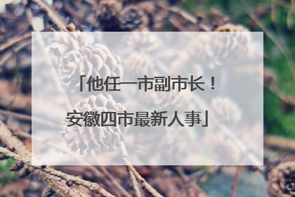 他任一市副市长！安徽四市最新人事