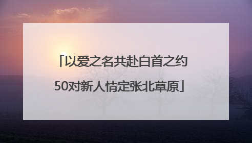 以爱之名共赴白首之约 50对新人情定张北草原