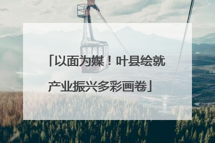以面为媒！叶县绘就产业振兴多彩画卷