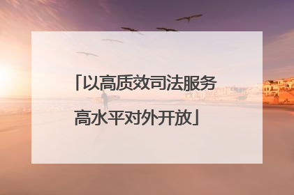 以高质效司法服务高水平对外开放