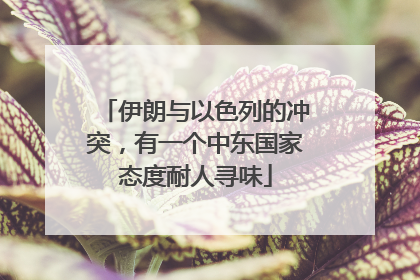 伊朗与以色列的冲突，有一个中东国家态度耐人寻味