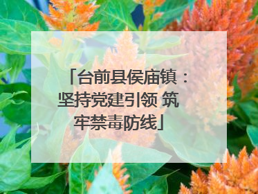 台前县侯庙镇：坚持党建引领 筑牢禁毒防线
