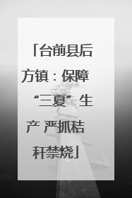 台前县后方镇：保障“三夏”生产 严抓秸秆禁烧
