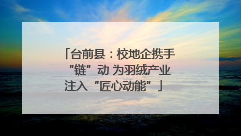 台前县：校地企携手“链”动 为羽绒产业注入“匠心动能”