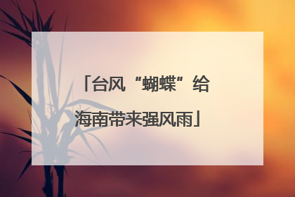 台风“蝴蝶”给海南带来强风雨