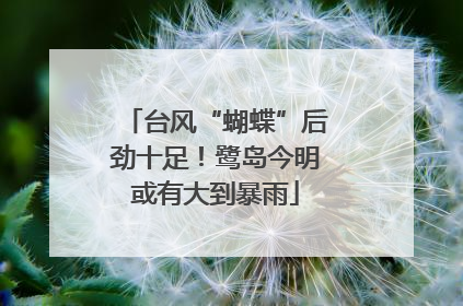 台风“蝴蝶”后劲十足！鹭岛今明或有大到暴雨
