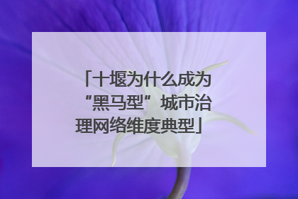 十堰为什么成为“黑马型”城市治理网络维度典型