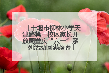十堰市柳林小学天津路第一校区家长开放周暨庆“六一”系列活动圆满落幕