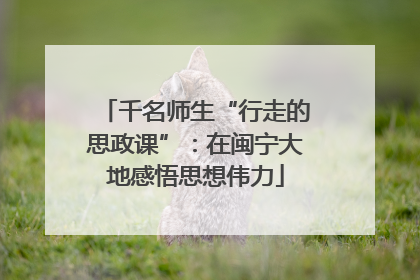千名师生“行走的思政课”：在闽宁大地感悟思想伟力