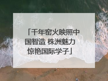 千年窑火映照中国智造 株洲魅力惊艳国际学子