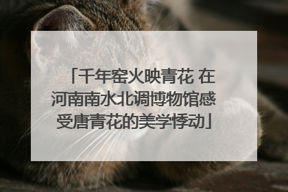 千年窑火映青花 在河南南水北调博物馆感受唐青花的美学悸动