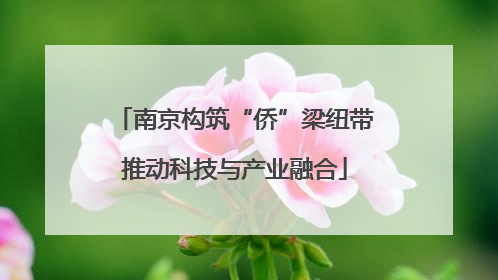 南京构筑“侨”梁纽带推动科技与产业融合
