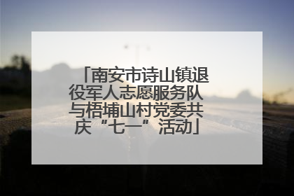 南安市诗山镇退役军人志愿服务队与梧埔山村党委共庆“七一”活动