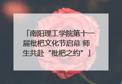 南阳理工学院第十一届枇杷文化节启幕 师生共赴“枇杷之约”