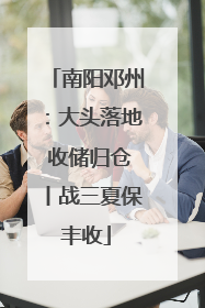 南阳邓州：大头落地 收储归仓丨战三夏保丰收