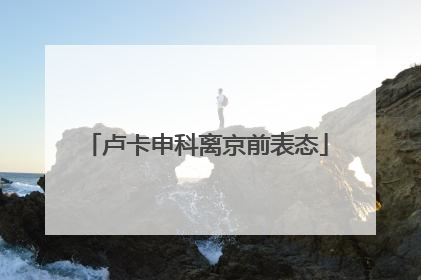 卢卡申科离京前表态