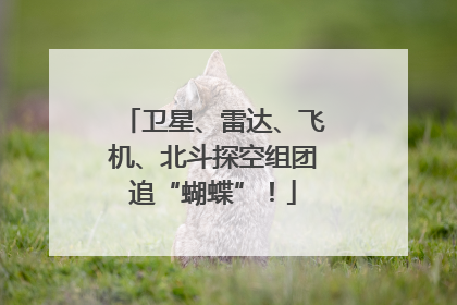 卫星、雷达、飞机、北斗探空组团追“蝴蝶”！