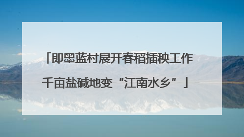 即墨蓝村展开春稻插秧工作 千亩盐碱地变“江南水乡”