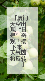 厦门天空出现“日晕”奇观！接下来，天气即将反转……