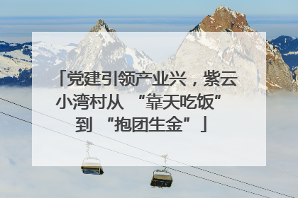 党建引领产业兴，紫云小湾村从 “靠天吃饭” 到 “抱团生金”