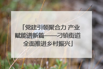 党建引领聚合力 产业赋能谱新篇——刁镇街道全面推进乡村振兴