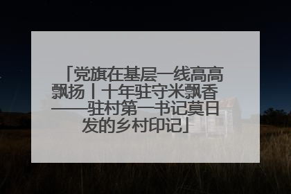 党旗在基层一线高高飘扬丨十年驻守米飘香——驻村第一书记莫日发的乡村印记