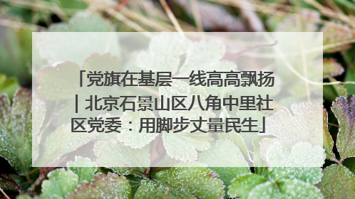 党旗在基层一线高高飘扬｜北京石景山区八角中里社区党委：用脚步丈量民生