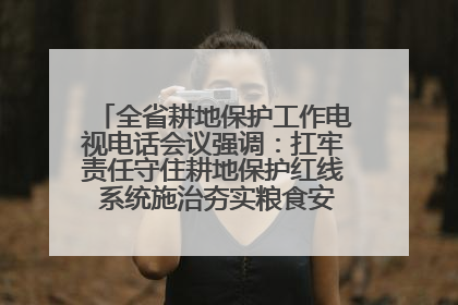 全省耕地保护工作电视电话会议强调：扛牢责任守住耕地保护红线 系统施治夯实粮食安全根基 王宁作出批示 王予波出席并讲话