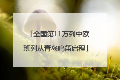 全国第11万列中欧班列从青岛鸣笛启程