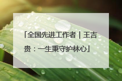 全国先进工作者｜王吉贵：一生秉守护林心