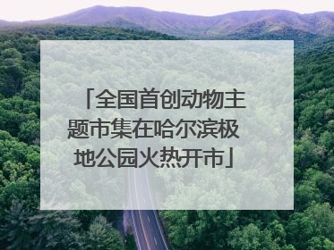 全国首创动物主题市集在哈尔滨极地公园火热开市
