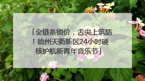 全链条锁价，舌尖上筑防！德州天衢新区24小时硬核护航新青年音乐节