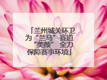 兰州城关环卫为“兰马”赛道“美颜” 全力保障赛事环境