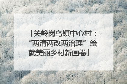 关岭岗乌镇中心村：“两清两改两治理”绘就美丽乡村新画卷