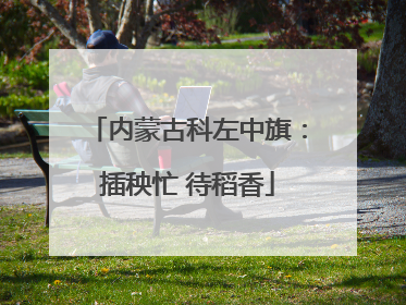 内蒙古科左中旗：插秧忙 待稻香