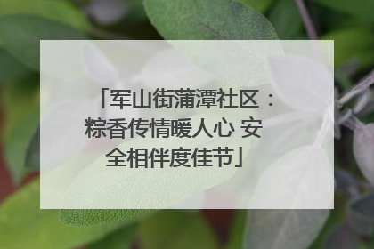 军山街蒲潭社区：粽香传情暖人心 安全相伴度佳节