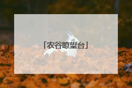 农谷瞭望台
