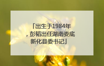 出生于1984年，彭韬出任湖南娄底新化县委书记