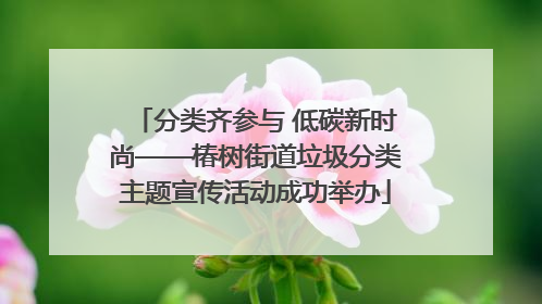 分类齐参与 低碳新时尚——椿树街道垃圾分类主题宣传活动成功举办