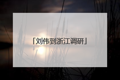 刘伟到浙江调研