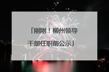 刚刚！柳州领导干部任职前公示