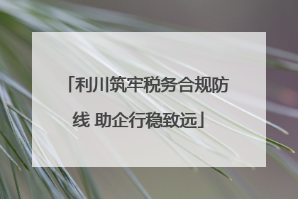 利川筑牢税务合规防线 助企行稳致远