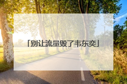 别让流量毁了韦东奕