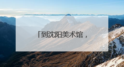 到沈阳美术馆，看法国画家大展