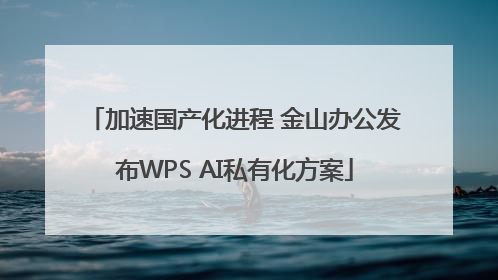 加速国产化进程 金山办公发布WPS AI私有化方案