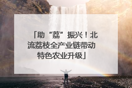 助“荔”振兴！北流荔枝全产业链带动特色农业升级