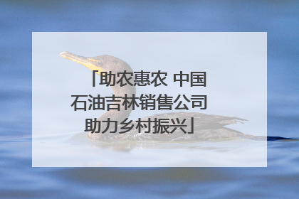 助农惠农 中国石油吉林销售公司助力乡村振兴
