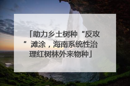 助力乡土树种“反攻”滩涂，海南系统性治理红树林外来物种